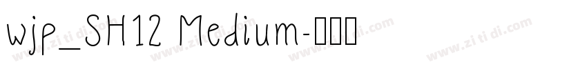 wjp_SH12 Medium字体转换 wjp_SH12 Medium字体转换